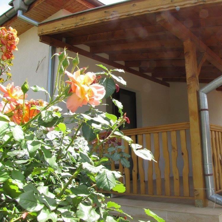 Guest House Vergie Сапарева Баня Екстериор снимка